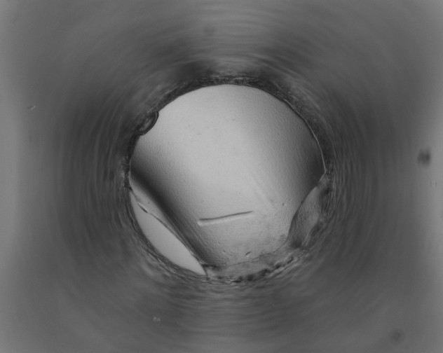 X0000090890868200708241959