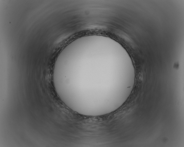 X0000090890869200708241959