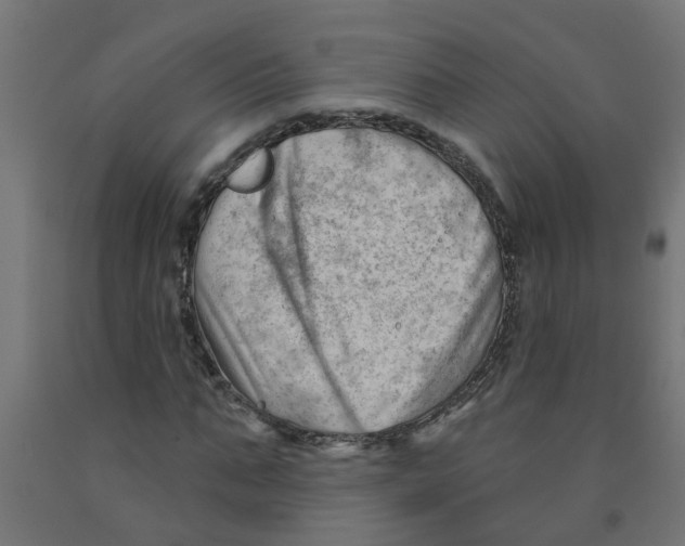 X0000090890871200708241959