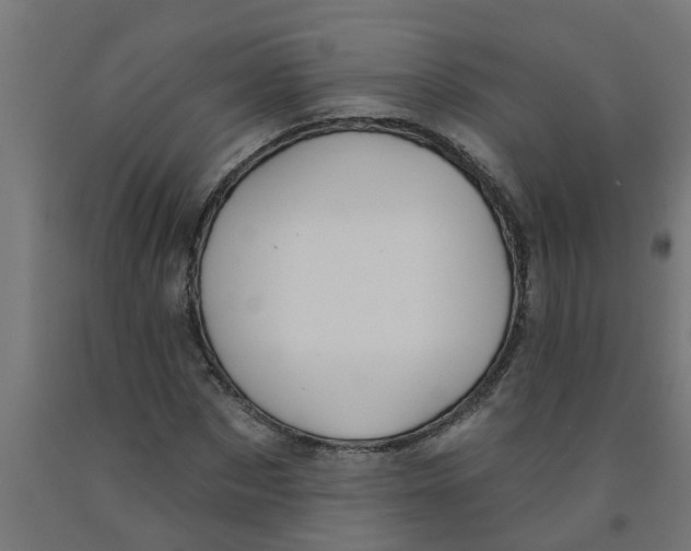 X0000090890873200708241959