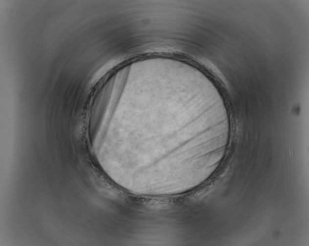 X0000090890874200708241959