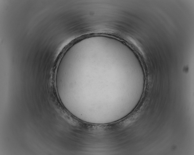 X0000090890875200708241959