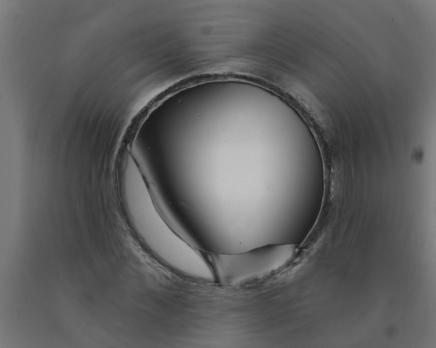 X0000090890876200708241959