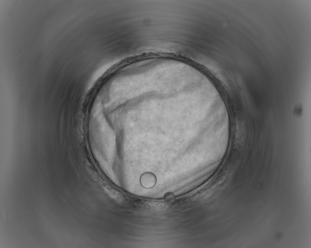 X0000090890878200708241959