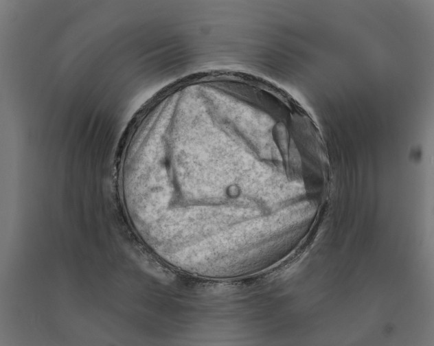 X0000090890879200708241959