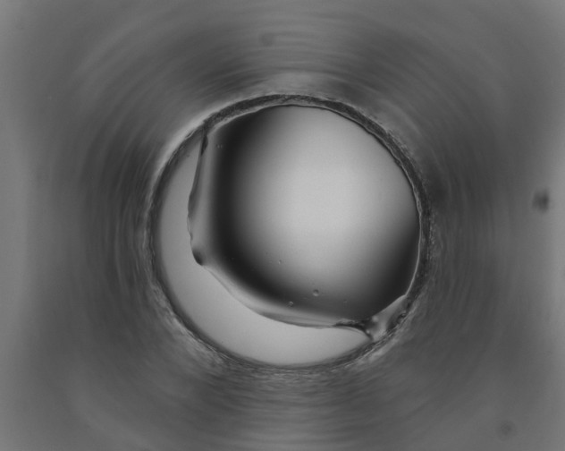 X0000090890880200708241959