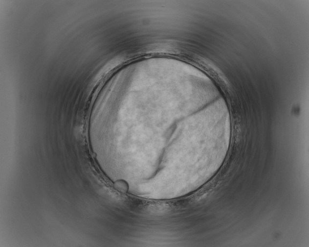 X0000090890882200708241959