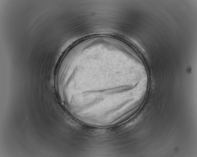 X0000090890883200708241959