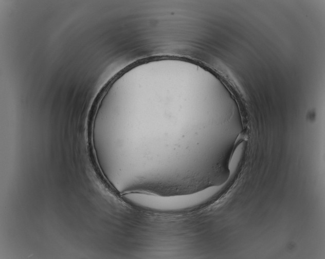 X0000090890884200708241959