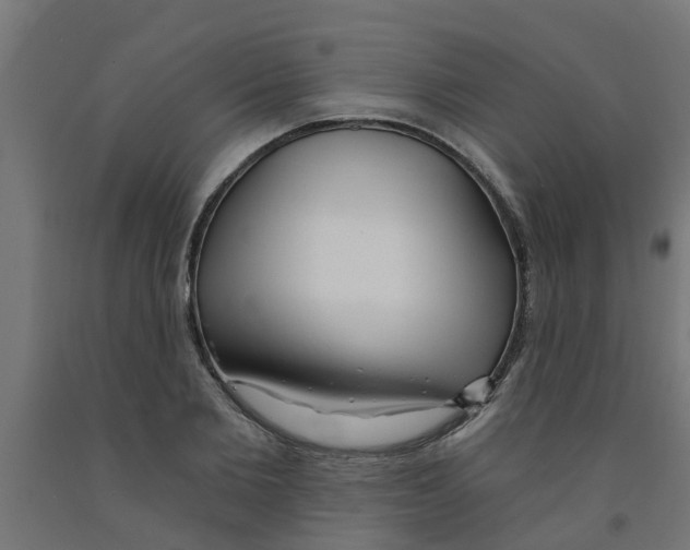 X0000090890885200708241959