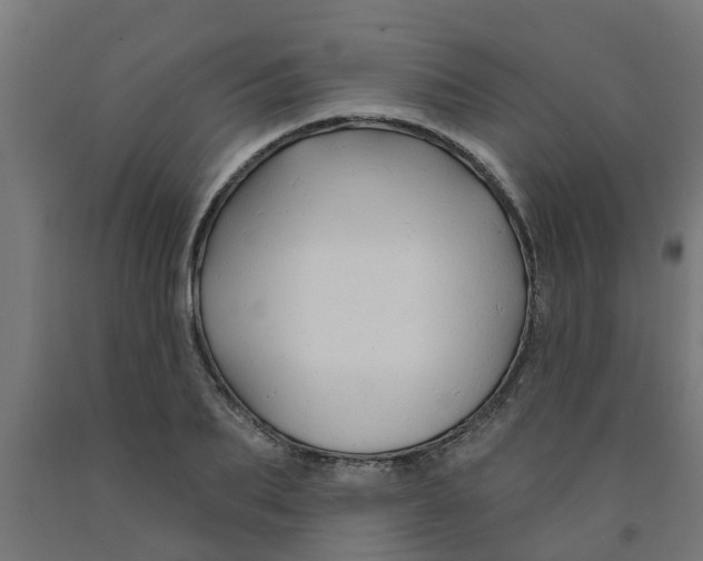 X0000090890887200708241959