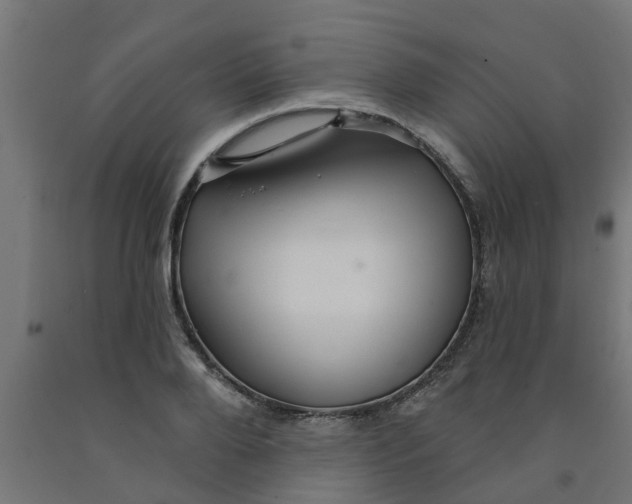 X0000090890888200708241959