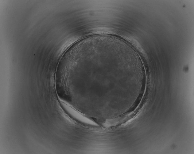 X0000090890889200708241959