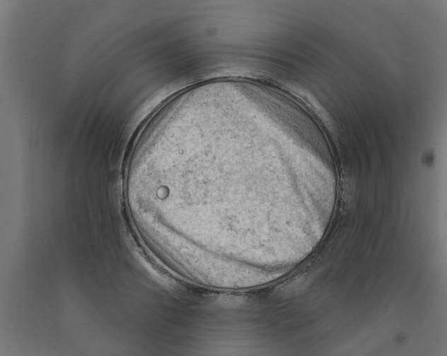 X0000090890890200708241959