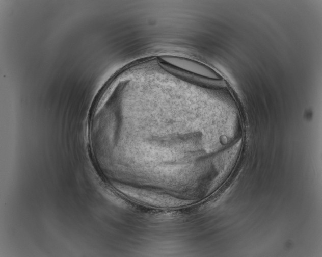 X0000090890891200708241959