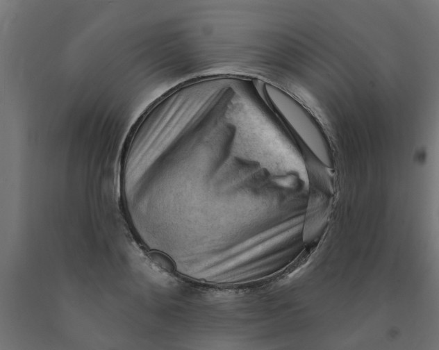 X0000090890892200708241959