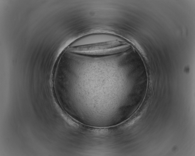 X0000090890893200708241959