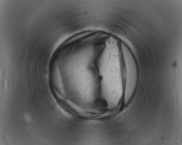 X0000090890894200708241959