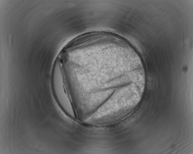 X0000090890895200708241959