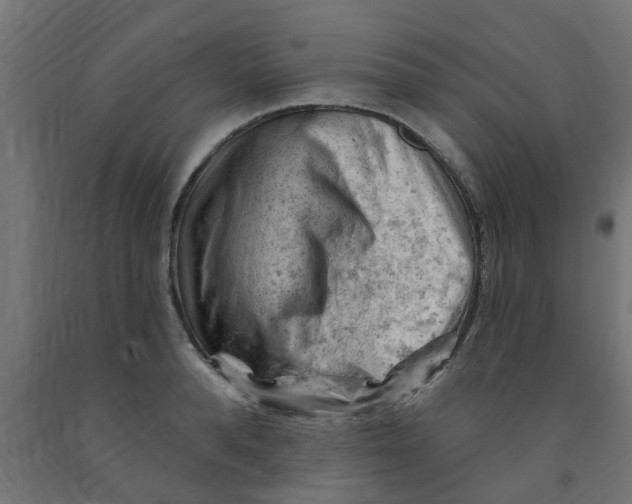 X0000090890896200708241959