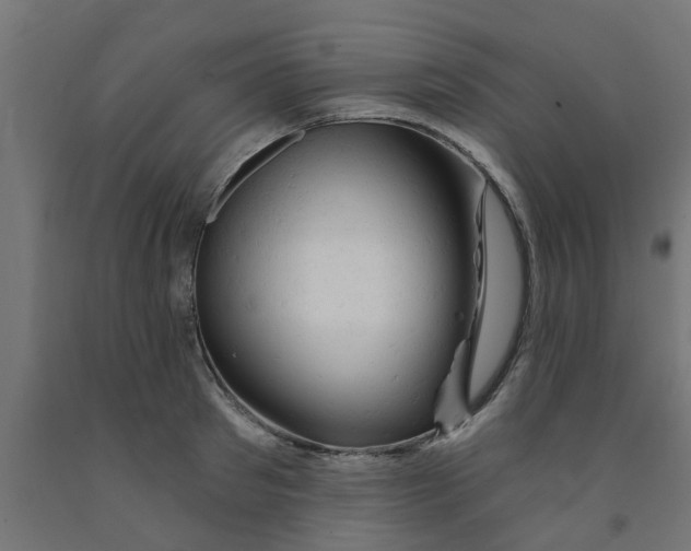 X0000090890897200708241959