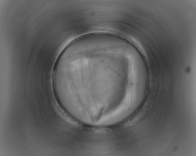 X0000090890899200708241959