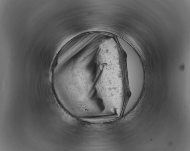 X0000090890900200708241959