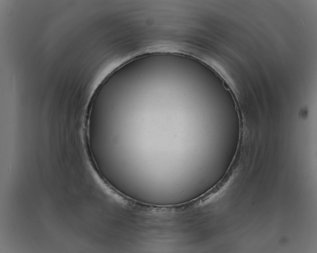 X0000090890901200708241959