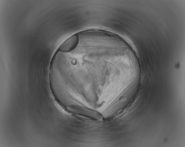 X0000090890903200708241959