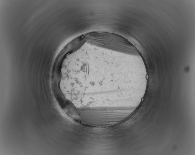 X0000090890904200708241959