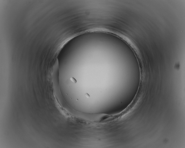 X0000090890905200708241959