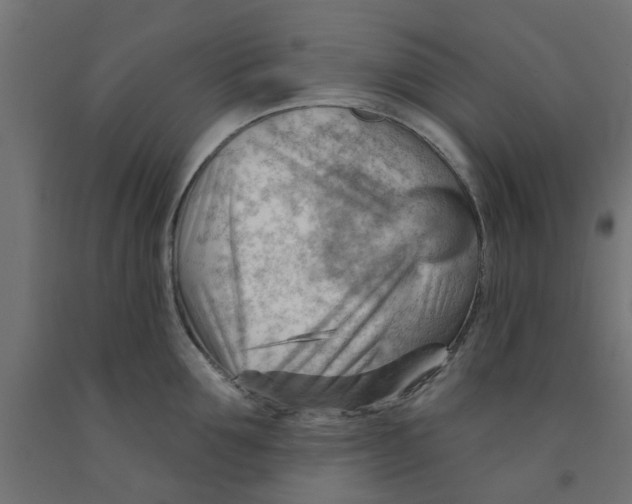 X0000090890907200708241959