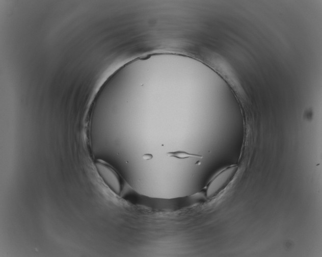 X0000090890908200708241959