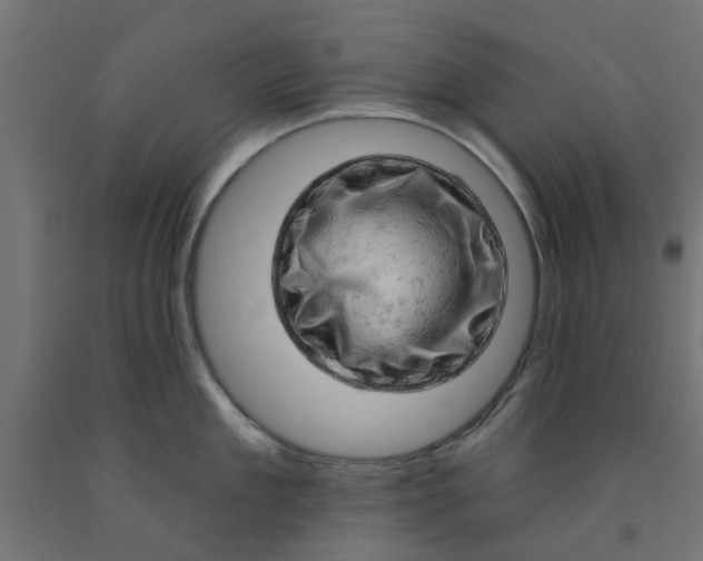 X0000090890909200708241959