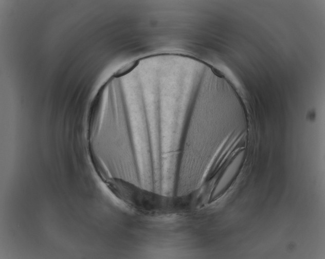 X0000090890910200708241959