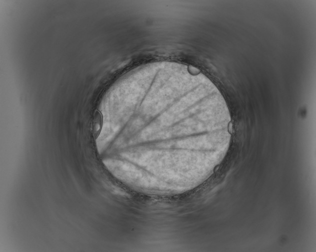 X0000090890913200708241958