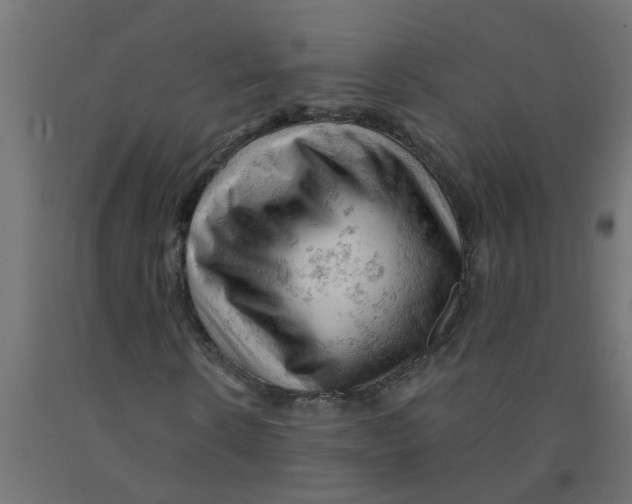 X0000090890914200708241958