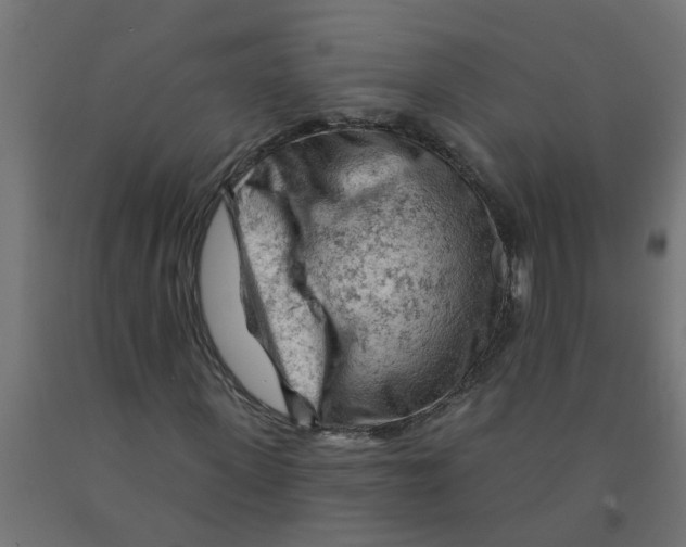 X0000090890915200708241958