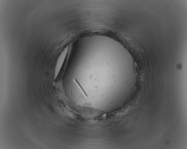 X0000090890916200708241958