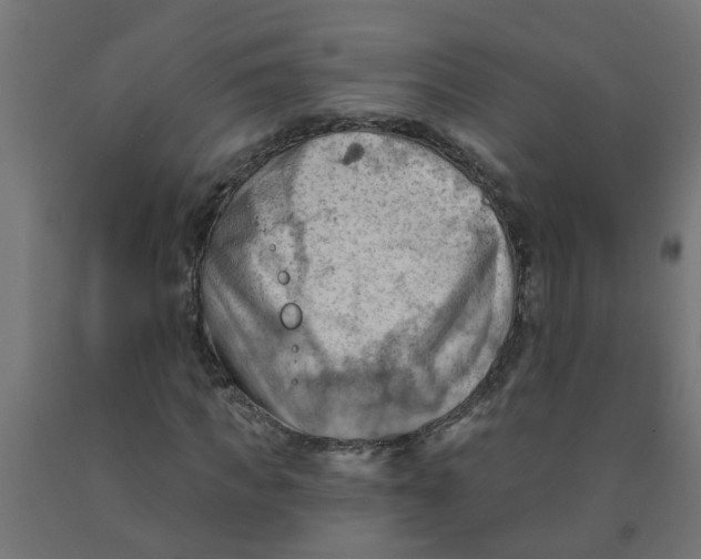 X0000090890917200708241958