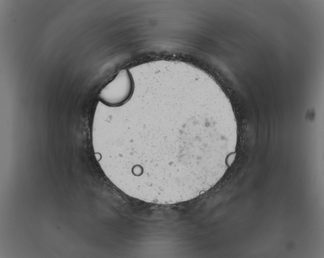 X0000090890918200708241958