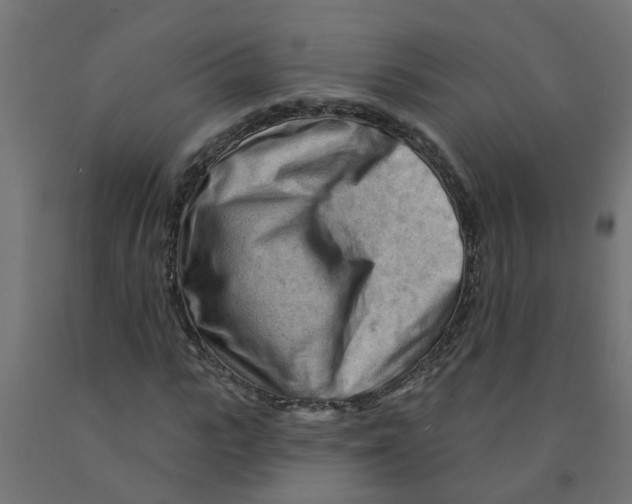 X0000090890919200708241958