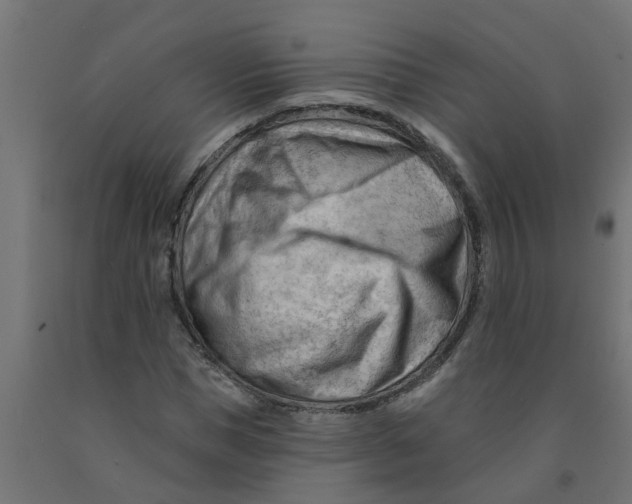 X0000090890921200708241958