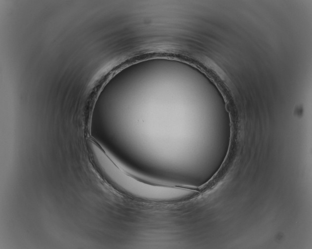 X0000090890922200708241958