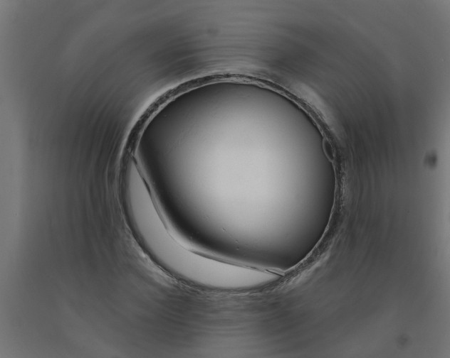 X0000090890924200708241958