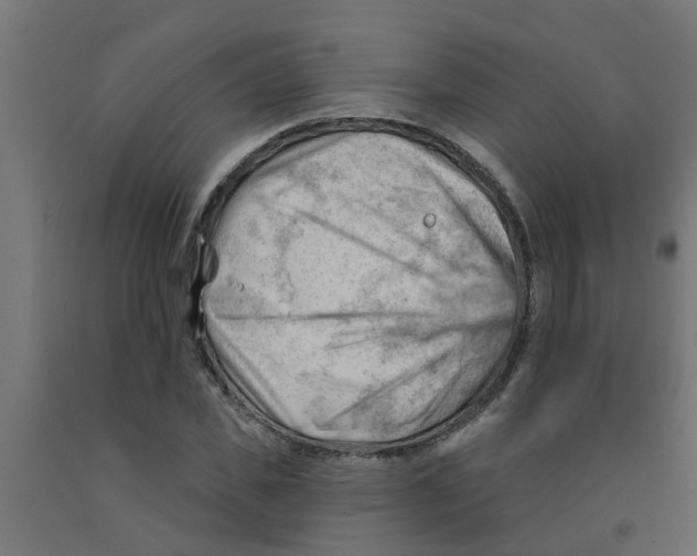 X0000090890925200708241958