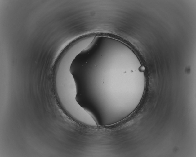 X0000090890926200708241958