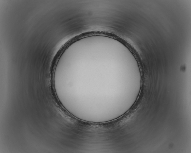 X0000090890927200708241958