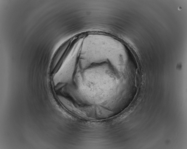 X0000090890928200708241958