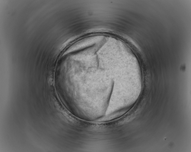 X0000090890929200708241958